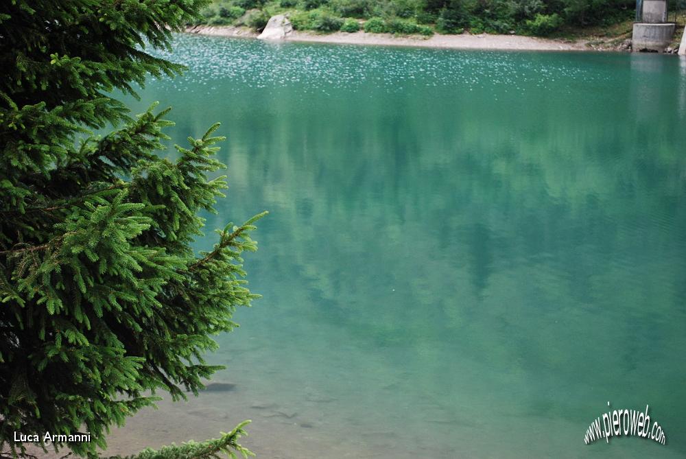 33 Sfumature di verde nell'acqua.JPG